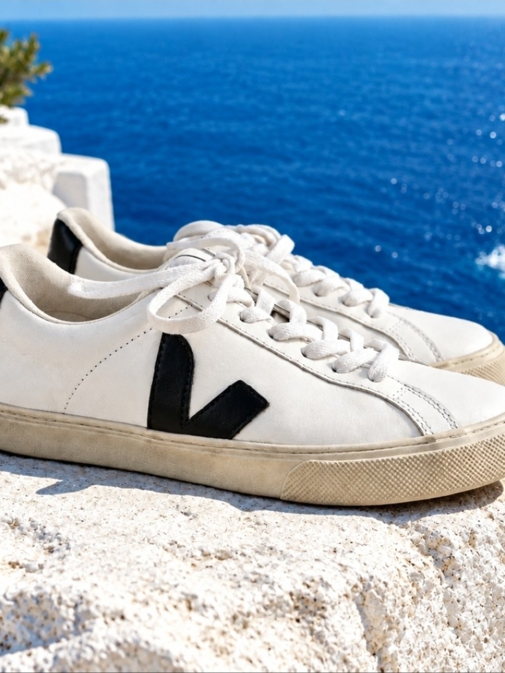Veja White Leather Sneakers with Black V - Women's Low-Top Trainers